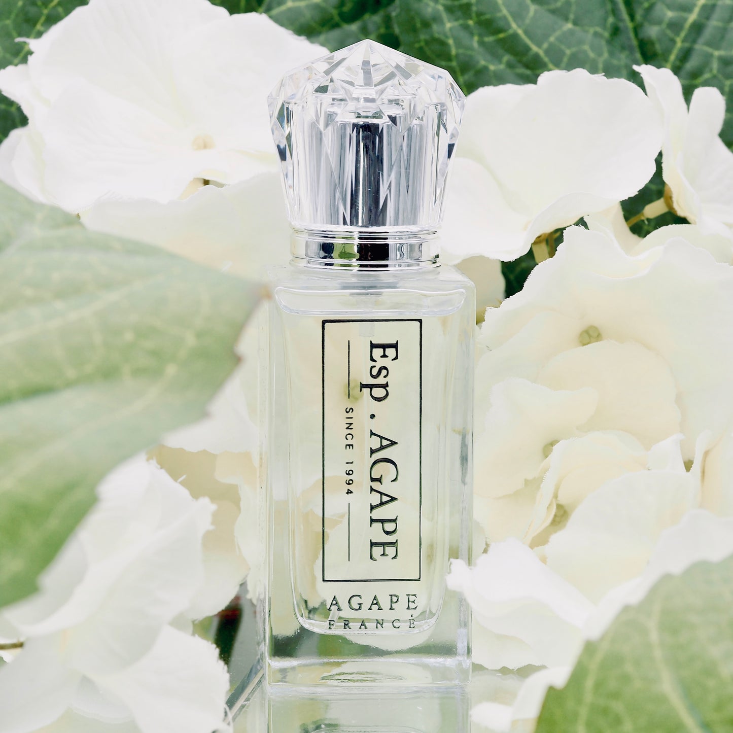AGAPE  White Champak 白蘭花法國香水 | BEST SELLER