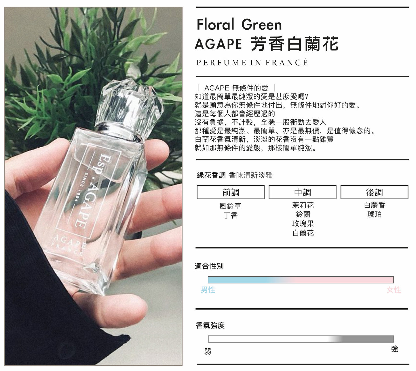 AGAPE  White Champak 白蘭花法國香水 | BEST SELLER